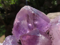 Natural Jacaranda Amethyst Cluster With Nice Large Crystals  x 1 From Mumbwa, Zambia - TopRock