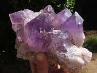 Natural Jacaranda Amethyst Cluster With Nice Large Crystals  x 1 From Mumbwa, Zambia - TopRock