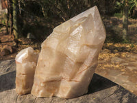 Natural Large Quartz Crystals With Polished Points  x 3 From Angola - TopRock