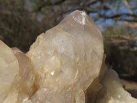 Natural Smokey Cascading Phantom Quartz Clusters x 6 From Luena, Congo - TopRock