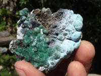 Natural Mixed Malachite & Chrysocolla Specimens  x 14 From Congo - TopRock