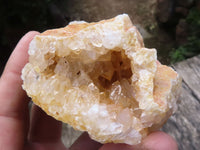 Natural Golden Hematoid / Limonite Quartz Vug Specimens  x 6 From Zambia - TopRock