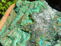 Natural Rough Shattuckite With Malachite & Cuprite Specimens  x 3 From Kaokoveld, Namibia - Toprock Gemstones and Minerals 