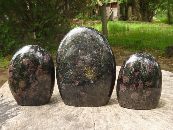 Polished Sparkling Blue Iolite / Water Sapphire Standing Free Forms  x 3 From Madagascar - TopRock