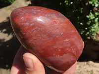 Polished Stunning Red Flame Jasper Standing Free Forms  x 6 From Madagascar - TopRock