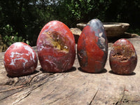 Polished Red Jasper & Hematite Standing Free Forms  x 4 From Madagascar - TopRock