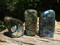 Polished Flashy Labradorite Standing Free Forms  x 3 From Tulear, Madagascar - TopRock