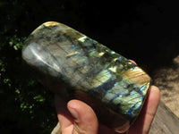 Polished Flashy Labradorite Standing Free Forms  x 3 From Tulear, Madagascar - TopRock