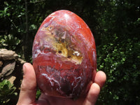 Polished Red Jasper & Hematite Standing Free Forms  x 4 From Madagascar - TopRock