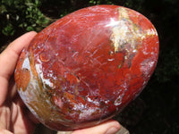 Polished Red Jasper & Hematite Standing Free Forms  x 4 From Madagascar - TopRock