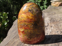 Polished Stunning Red Flame Jasper Standing Free Forms  x 6 From Madagascar - TopRock