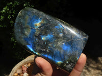 Polished Flashy Labradorite Standing Free Forms  x 3 From Tulear, Madagascar - TopRock