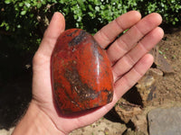 Polished Stunning Red Flame Jasper Standing Free Forms  x 6 From Madagascar - TopRock