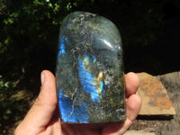 Polished Flashy Labradorite Standing Free Forms  x 3 From Tulear, Madagascar - TopRock