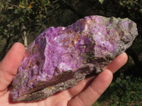 Natural Purple Stichtite With Green Serpentine Specimens  x 4 From Barberton, South Africa - TopRock