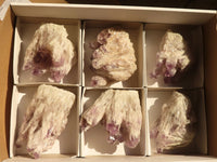 Natural Sugar Amethyst Clusters  x 6 From Solwezi, Zambia - Toprock Gemstones and Minerals 