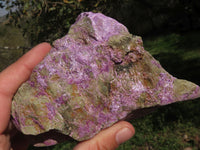 Natural Purple Stichtite With Green Serpentine Specimens  x 4 From Barberton, South Africa - TopRock