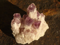 Natural Sugar Amethyst Clusters  x 6 From Solwezi, Zambia - Toprock Gemstones and Minerals 