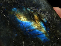 Polished Flashy Labradorite Standing Free Forms  x 3 From Tulear, Madagascar - TopRock