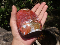 Polished Red Jasper & Hematite Standing Free Forms  x 4 From Madagascar - TopRock