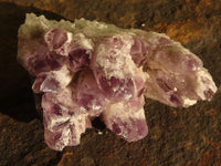 Natural Sugar Amethyst Clusters  x 6 From Solwezi, Zambia - Toprock Gemstones and Minerals 