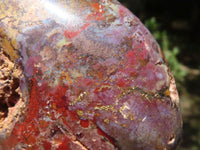 Polished Red Jasper & Hematite Standing Free Forms  x 4 From Madagascar - TopRock