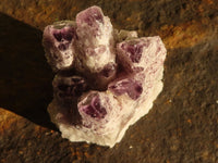 Natural Sugar Amethyst Clusters  x 6 From Solwezi, Zambia - Toprock Gemstones and Minerals 