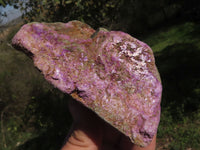 Natural Purple Stichtite With Green Serpentine Specimens  x 4 From Barberton, South Africa - TopRock