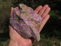 Natural Purple Stichtite With Green Serpentine Specimens  x 4 From Barberton, South Africa - TopRock