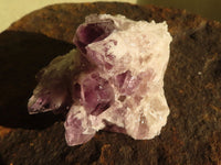 Natural Sugar Amethyst Clusters  x 6 From Solwezi, Zambia - Toprock Gemstones and Minerals 