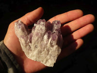 Natural Sugar Amethyst Clusters  x 6 From Solwezi, Zambia - Toprock Gemstones and Minerals 