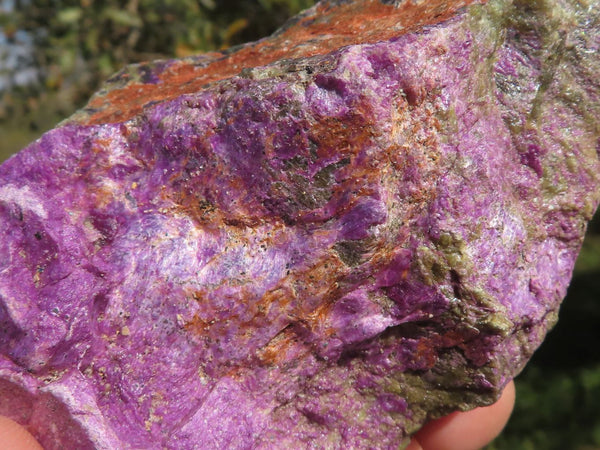 Natural Purple Stichtite With Green Serpentine Specimens  x 4 From Barberton, South Africa - TopRock