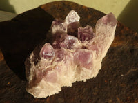 Natural Sugar Amethyst Clusters  x 6 From Solwezi, Zambia - Toprock Gemstones and Minerals 