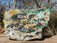 Natural Drusy Coated Chrysocolla & Malachite Dolomite Specimen x 1 From Likasi, Congo