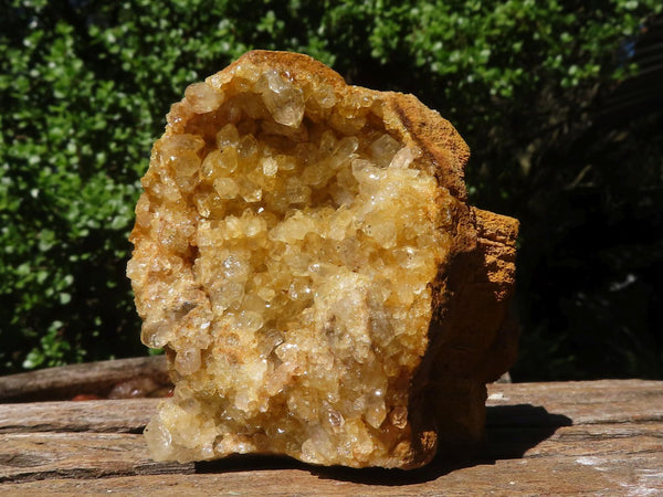 Natural Golden Limonite / Lemonite Quartz Clusters  x 12 From Zambia - Toprock Gemstones and Minerals 