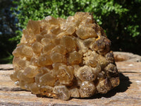 Natural Golden Limonite / Lemonite Quartz Clusters  x 12 From Zambia - Toprock Gemstones and Minerals 