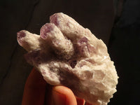 Natural Sugar Amethyst Clusters  x 6 From Solwezi, Zambia - Toprock Gemstones and Minerals 