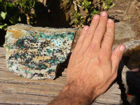 Natural Drusy Coated Chrysocolla & Malachite Dolomite Specimen x 1 From Likasi, Congo