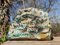 Natural Drusy Coated Chrysocolla & Malachite Dolomite Specimen x 1 From Likasi, Congo