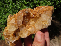 Natural Golden Limonite / Lemonite Quartz Clusters  x 12 From Zambia - Toprock Gemstones and Minerals 