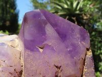 Natural Rare Triple Point Amethyst Crystals  x 2 From Madagascar - TopRock