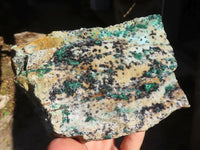 Natural Drusy Coated Chrysocolla & Malachite Dolomite Specimen x 1 From Likasi, Congo