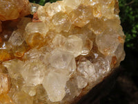 Natural Golden Limonite / Lemonite Quartz Clusters  x 12 From Zambia - Toprock Gemstones and Minerals 