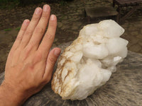 Natural Large Pineapple Candle Quartz Cluster  x 1 From Madagascar - TopRock