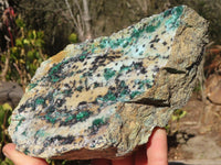 Natural Drusy Coated Chrysocolla & Malachite Dolomite Specimen x 1 From Likasi, Congo