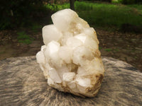 Natural Large Pineapple Candle Quartz Cluster  x 1 From Madagascar - TopRock