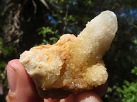 Natural Lovely Mixed Selection Of Spirit Quartz Clusters  x 24 From Boekenhouthoek, South Africa - Toprock Gemstones and Minerals 