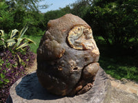 Polished Extra Large Agate With Crystal Geode Centre Amethyst Flavoured Crystals Cut To Stand x 1 From Madagascar - TopRock