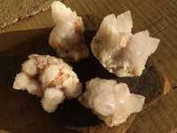 Natural White Spirit Cactus Quartz Clusters  x 4 From Boekenhouthoek, South Africa - Toprock Gemstones and Minerals 