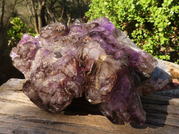 Natural XXX Rare Giant Cascading Smokey Amethyst Window Brandberg Quartz Specimen x 1 From Brandberg, Namibia